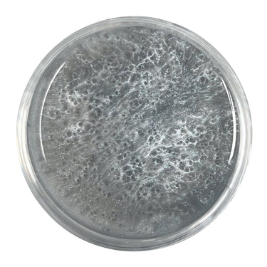 Metallic Epoxy Pigment - Stone Gray